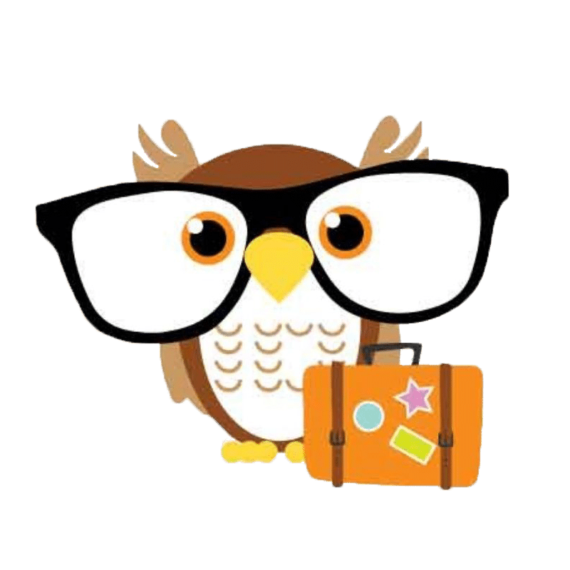 Travel Owl