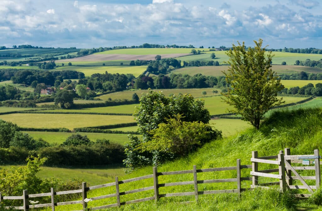 Lincolnshire Wolds In Summer