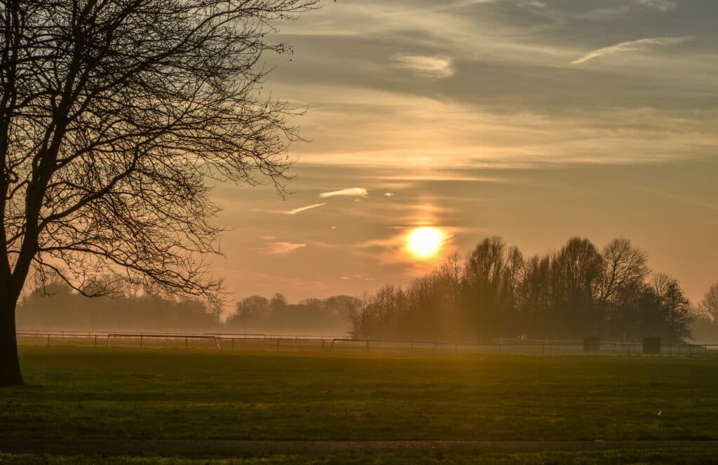 Hanworth Park Evening