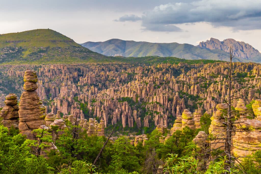 Chiricahua national monument