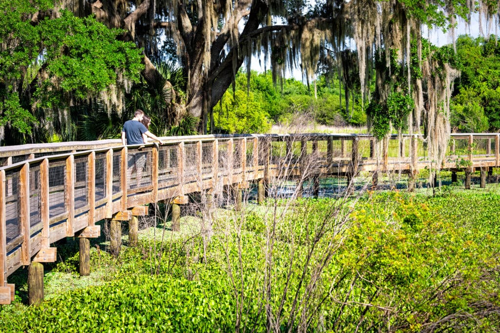 Gainesville, USA: Paynes Prairie Preserve State Park Watershed trail hiking path boardwalk in Florida marsh with people looking at view