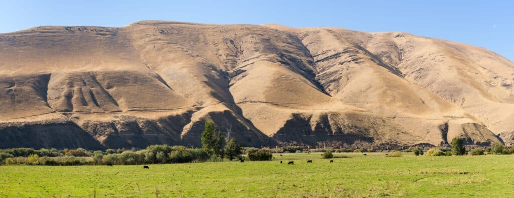 Panorama scenic of the Lmuma Creek area of the Yakima Canyon with green field and dry hill