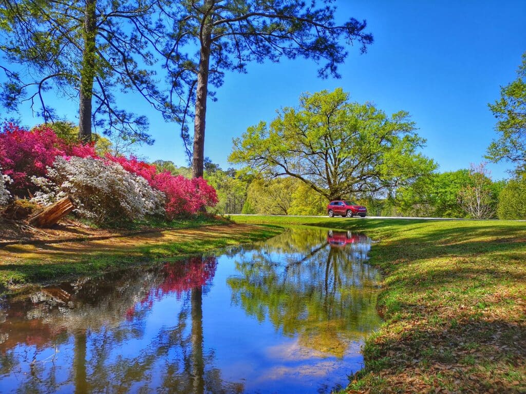 Spring In Callaway Gardens GA