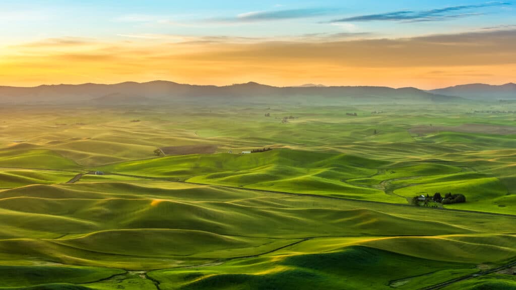 Beautiful landscape of crop fields in the Palouse region of eastern Washington, USA in the morning
