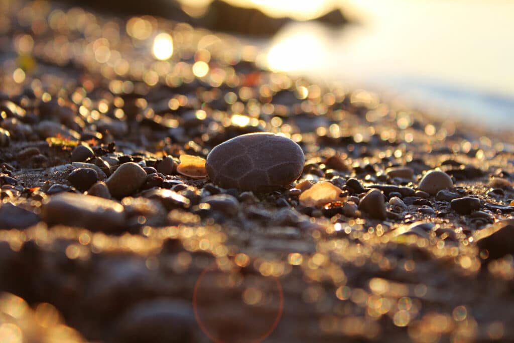 Petoskey stone on Suttons Bay.