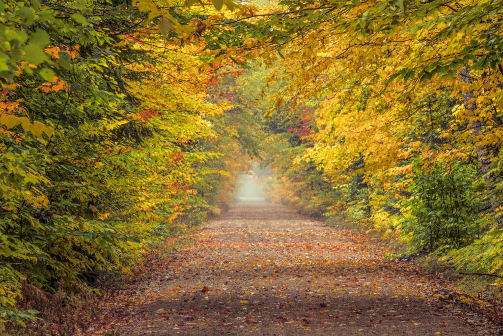 Road through Hiawatha National Forest and fall colors, Upper Peninsula of Michigan