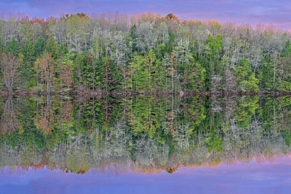 Spring landscape at sunset of the shoreline of Moccasin Lake with mirrored reflections in calm water, Hiawatha National Forest, Michigan's Upper Peninsula, USA