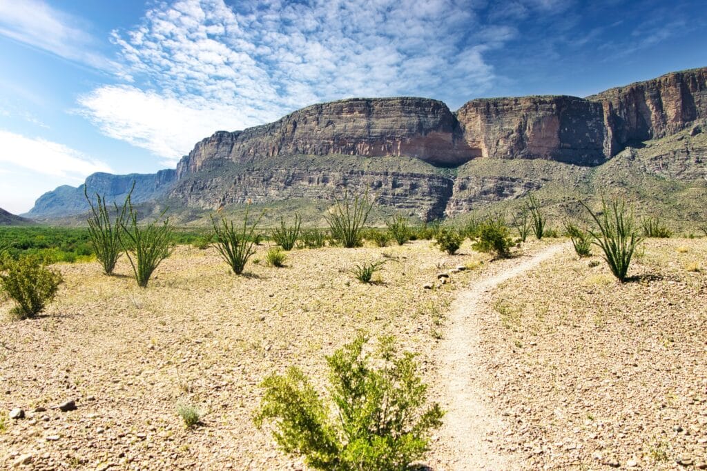 Under a partly cloudy sky in late April, a hiking trail passes through the desert toward a mountain at Big Bend National Park in Brewster County, TX.