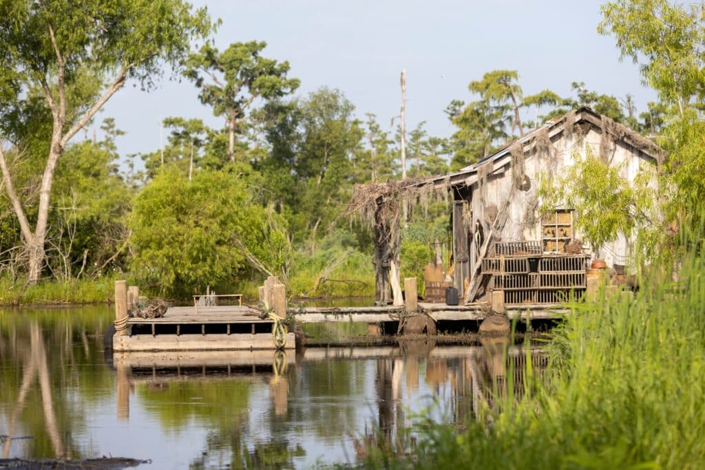 Cajun cabin in a Louisiana swamp.