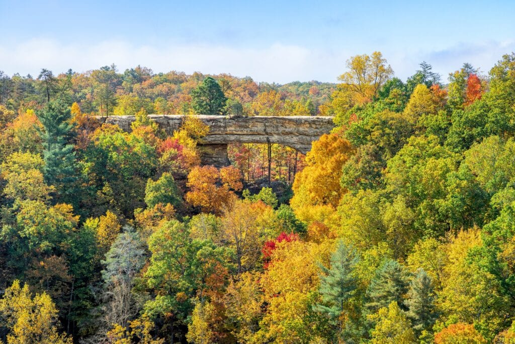 Seen from Lookout Point atop Battleship Rock, surrounded by colorful autumn leaves, a large rock arch is the geologic centerpiece of Natural Bridge State Park in the Red River Gorge area of Kentucky.