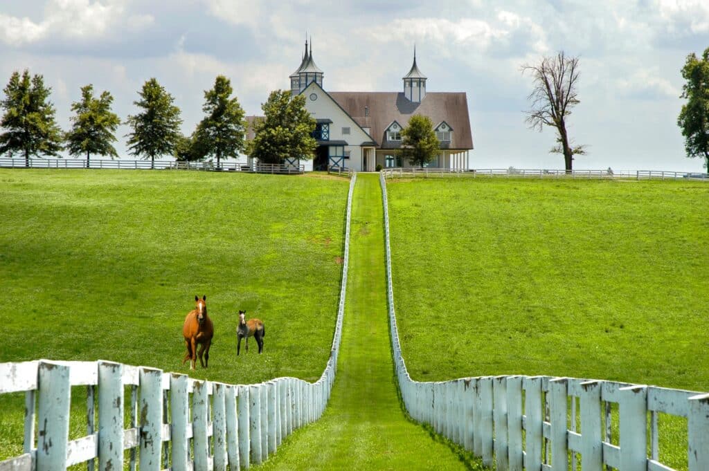 Kentucky Horse park and surrounding horse farms in Lexington KYThe racing horse and thoroughbred horse capital of the world.