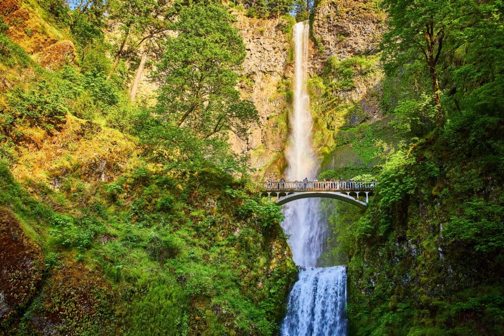 Majestic Multnomah Falls with Visitors on Arched Bridge at Golden Hour