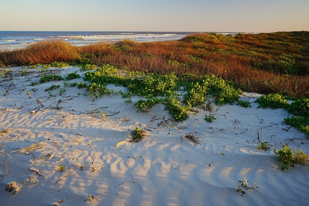 Padre Island National Park and Seashore Texas