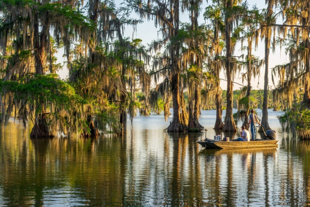 Fishing on a boat at Lake Martin, Cypress Island Preserve, Cypress swamp scenic landscape with reflections, Breaux Bridge near Lafayette, Louisiana