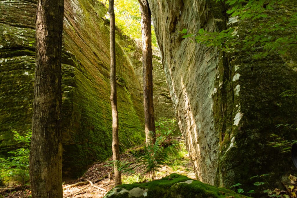 Landscape in Bell Smith Springs on a beautiful Summer morning. Shawnee National Forest, Illinois, USA