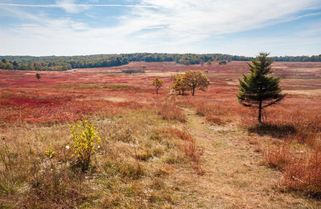Big Meadows at Shenandoah National Park along the Blue Ridge Mountains in Virginia During Autumn, in the USA