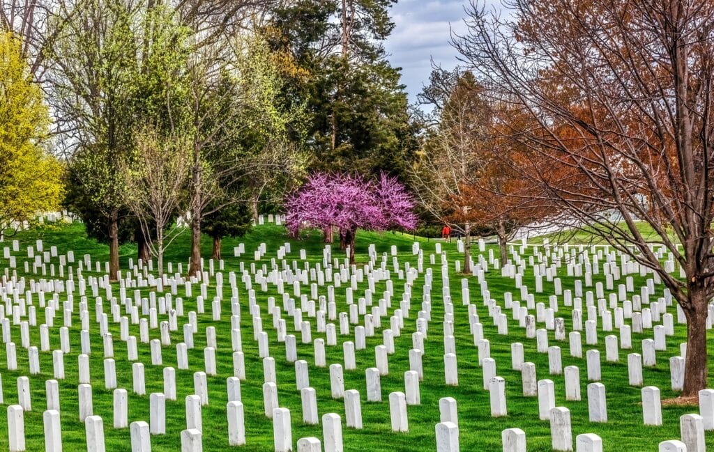 Pink Cherry Blossoms Spring Many Rows White Graves Arlington National Cemetery Washington DC. Arlington was established during Civil War on Robert E. Lee's House.