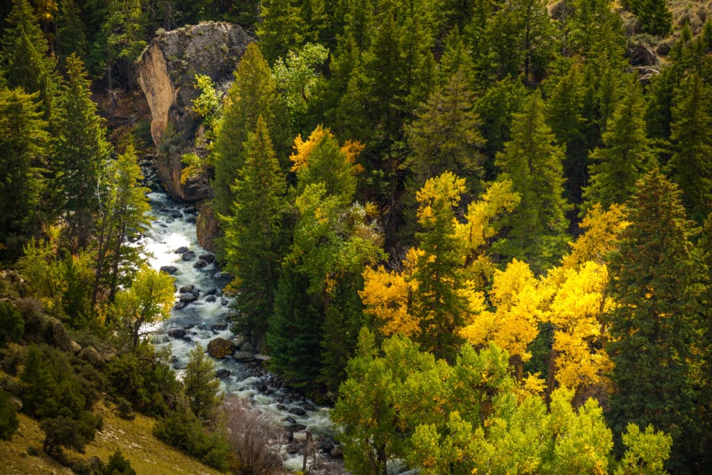 Tensleep Creek Wyoming Landscape Fall Colors