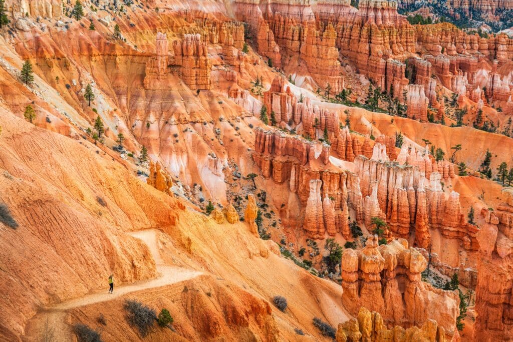Bryce Canyon, Utah, USA with hoodoo landscape.