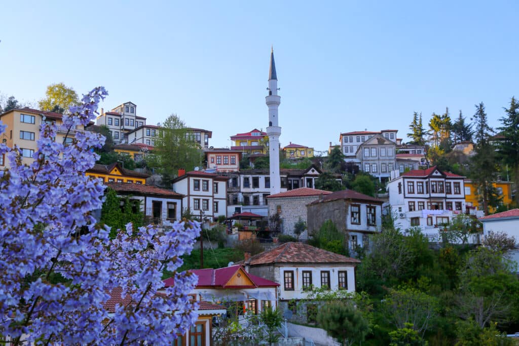 old trabzon houses turkey.