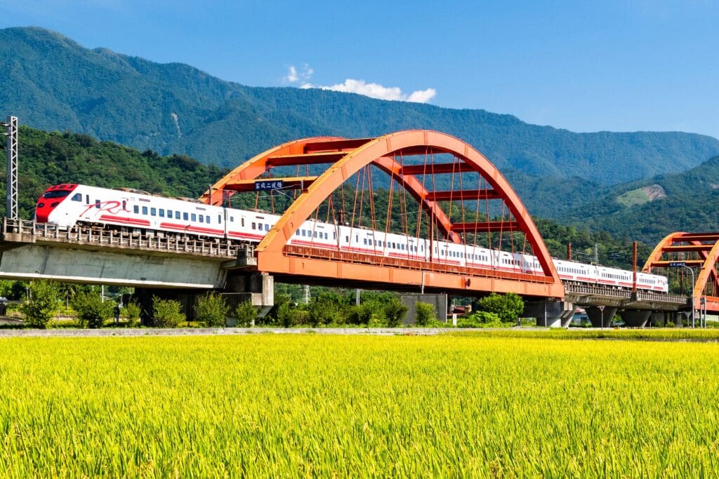 A Tze-Chiang Limited Express(Puyuma) train is passing through the Kecheng bridge near Yuli railway station in Hualien, Taiwan, and a large area of rice fields ahead