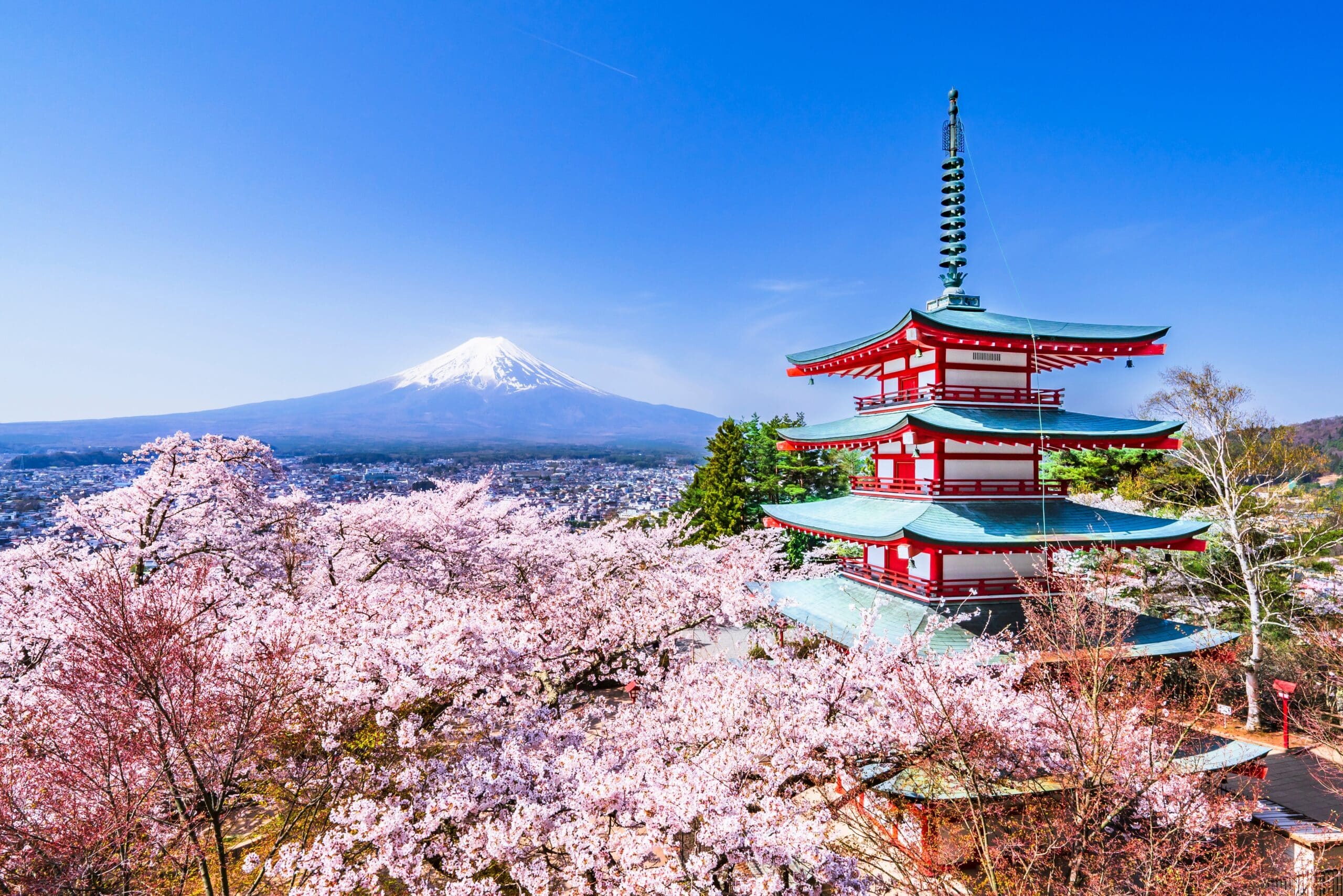 Arakurayama Sengen Park in spring. A breathtaking view from the observation deck. Full bloom cherry blossoms, the Chureito Pagoda, and Mount Fuji. - Yamanashi, Japan