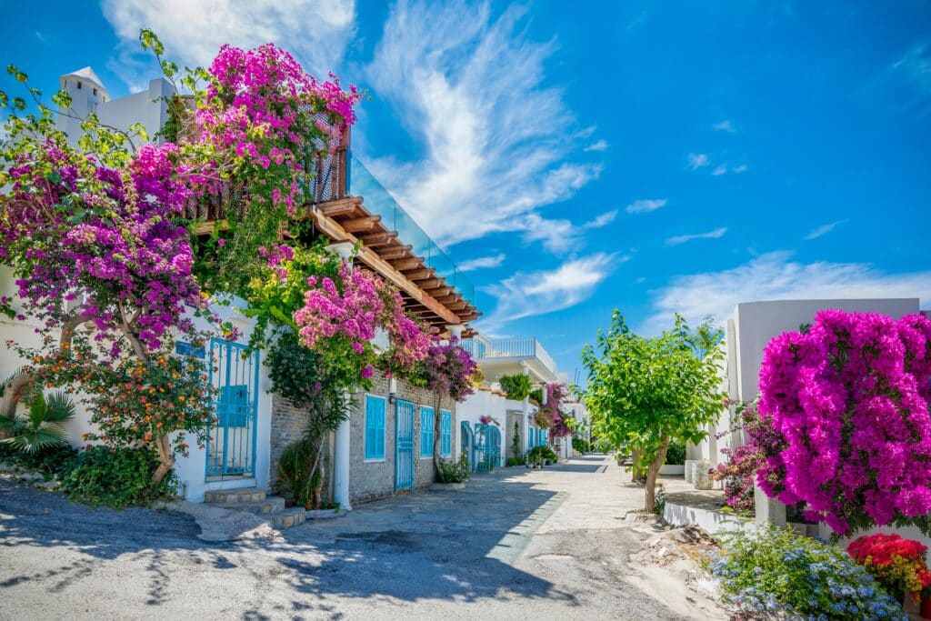 The colorful street view in Bodrum Town of Turkey