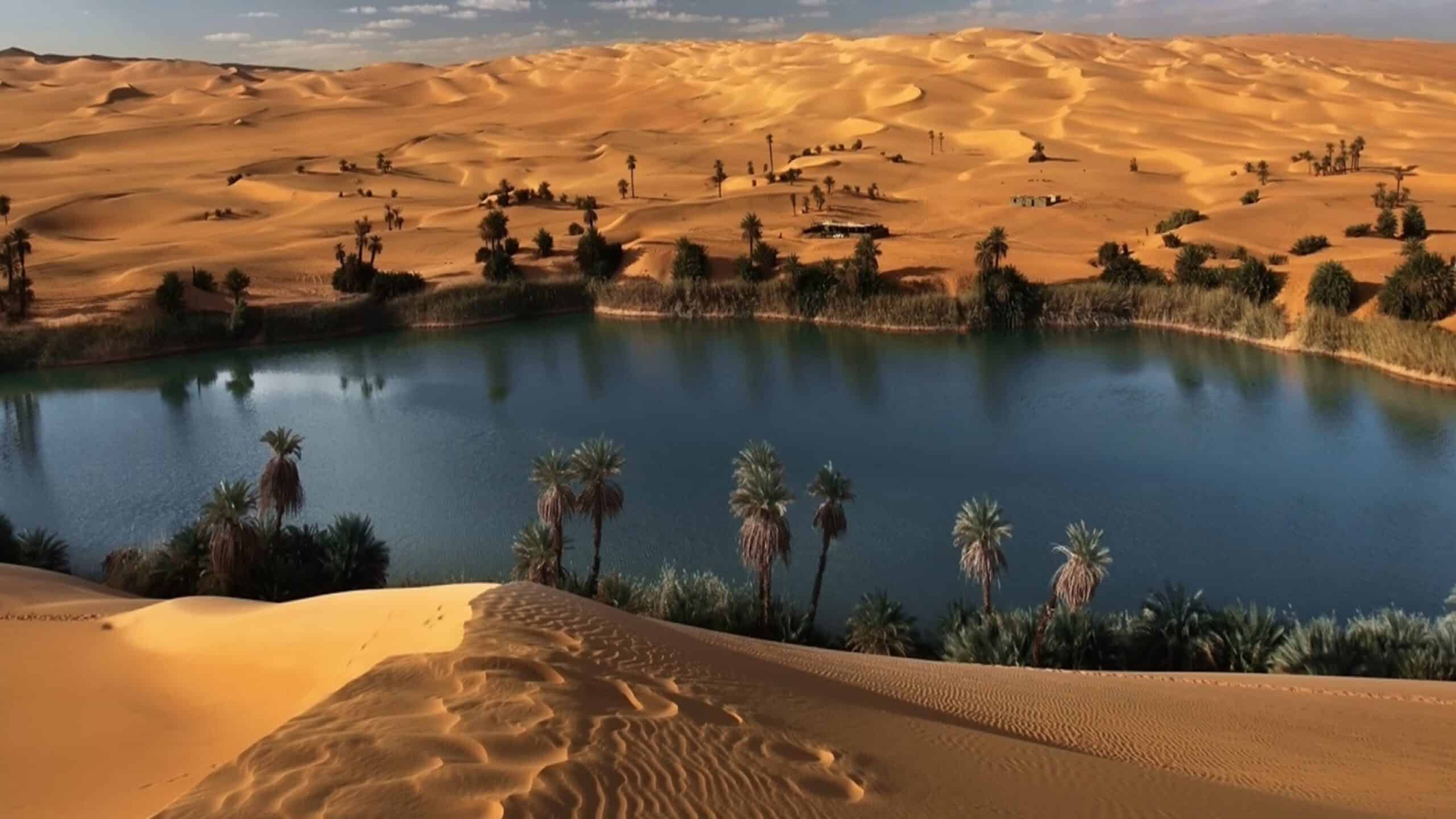 africa, arid climate, color image, day, desert, dunes of ubari, grass, horizontal, landscape, libya, nature, no people, north africa, oasis, outdoors, palm tree, photography, sahara desert, sand, sand