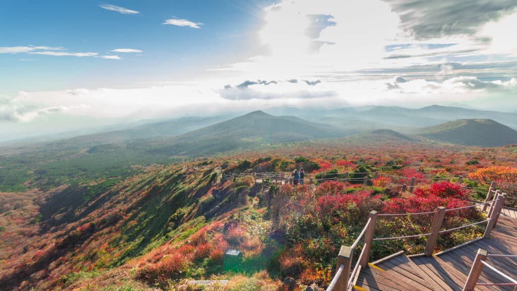 Yeongsil Trail Hallasan National Park on Jeju island in winter.