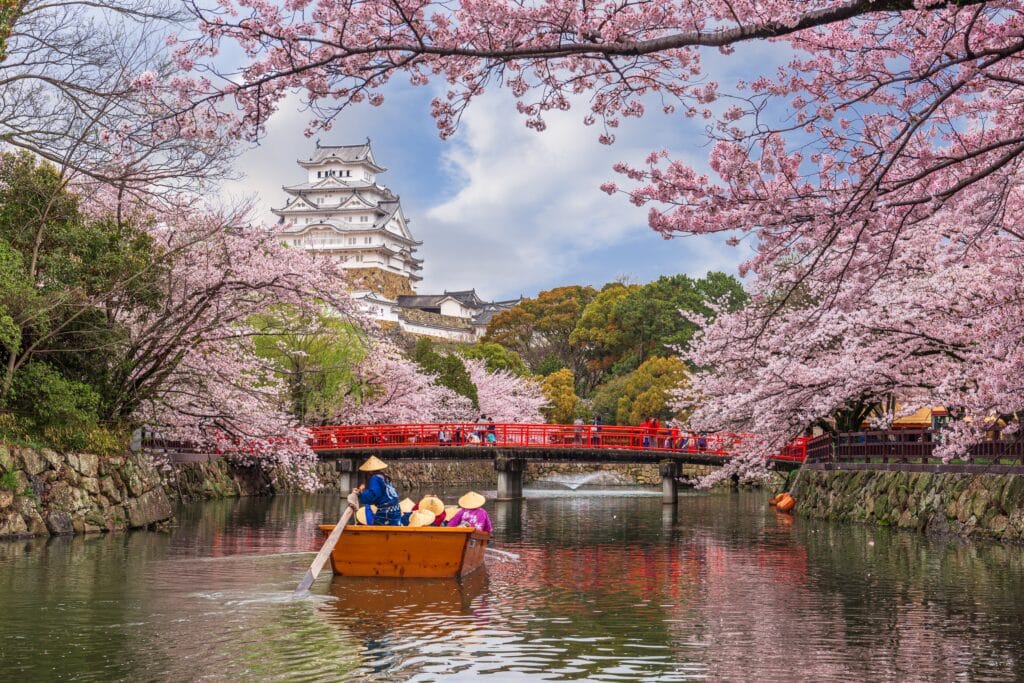 Himeji Castle surrounded by blooming cherry blossom trees with a sightseeing boat on the moat