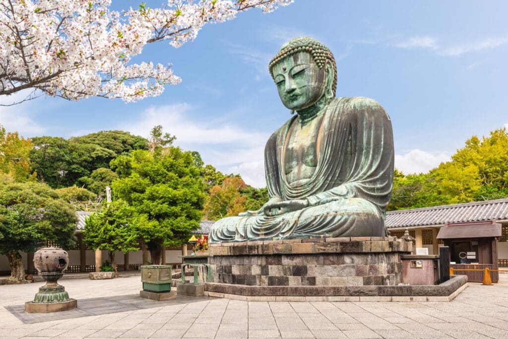 Great Buddha of Kamakura framed by cherry blossoms at Kotoku-in