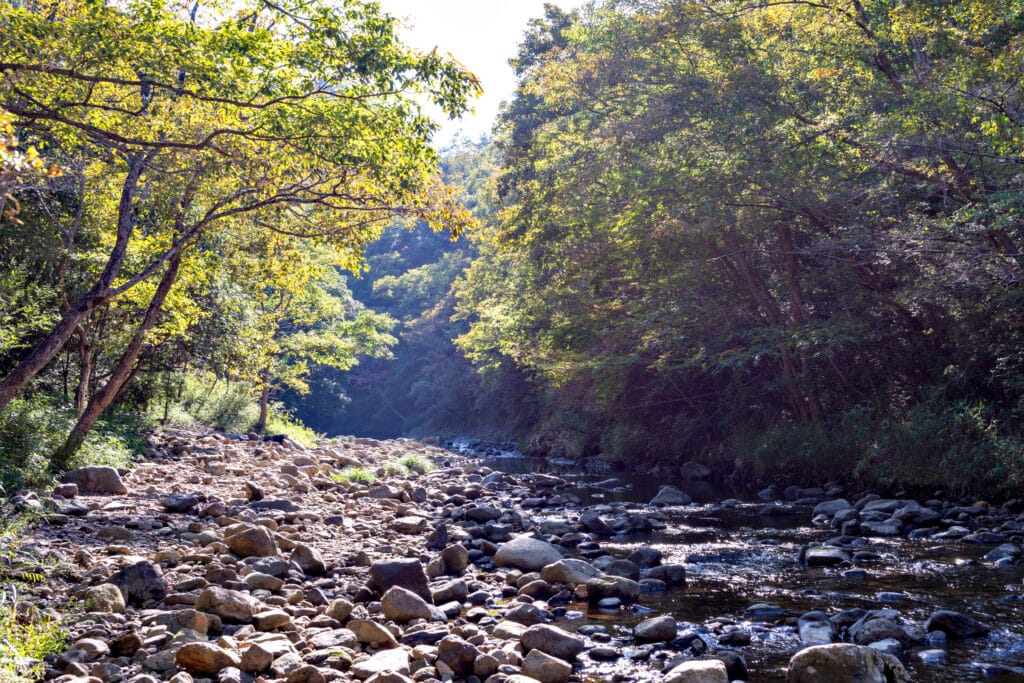 Forest stream and rocky hiking trail in the wooded hills of Kamakura