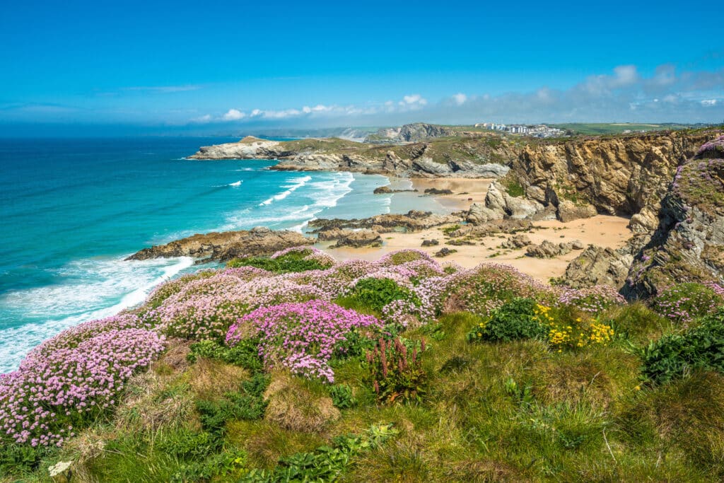 Rugged Cornwall coastline with sandy coves and wildflowers above the sea