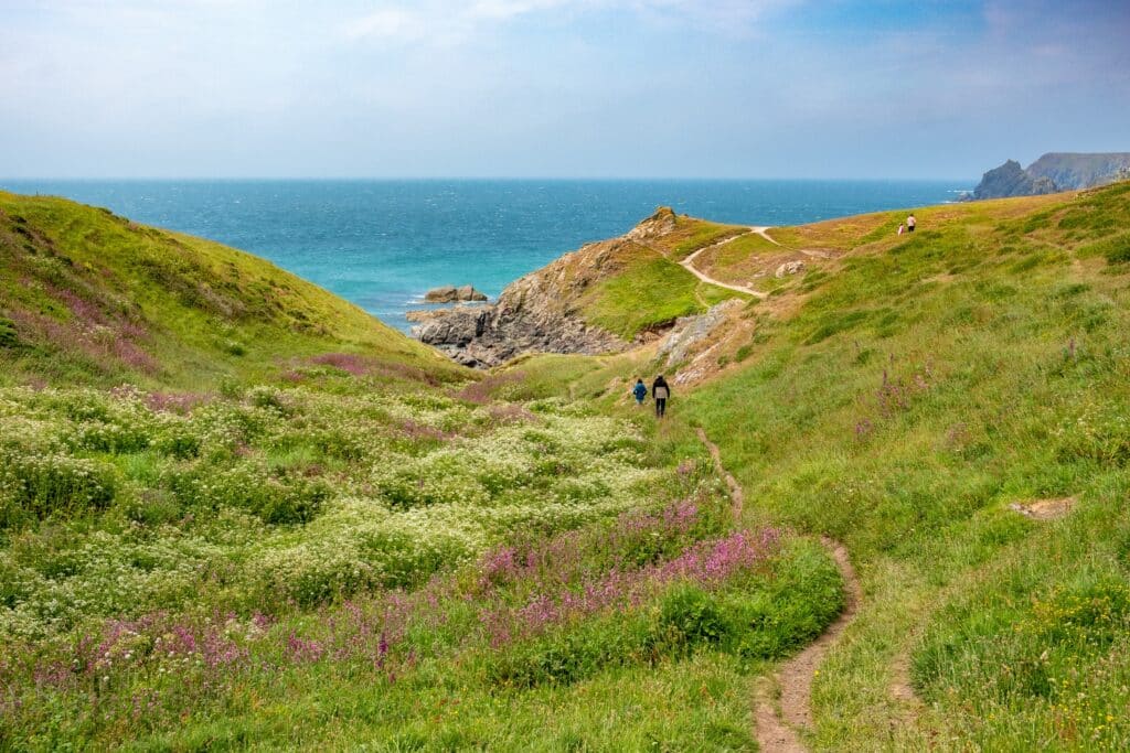 Walkers following a coastal path through wildflowers beside the sea in Cornwall
